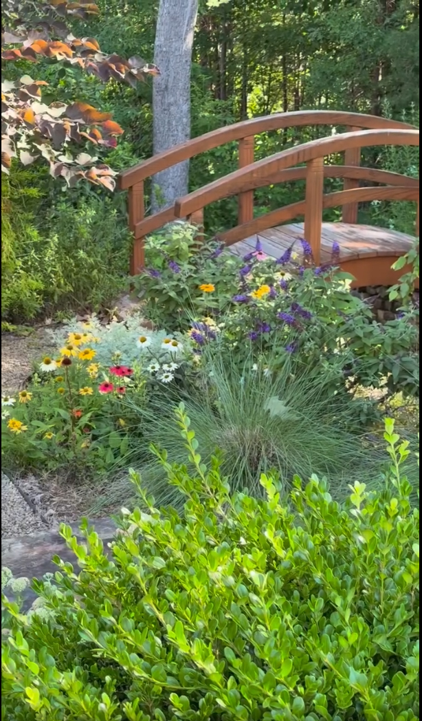 Forrest Gardens